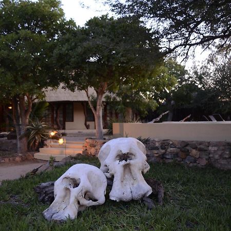 Kambaku Safari Lodge Timbavati Game Reserve Exterior foto