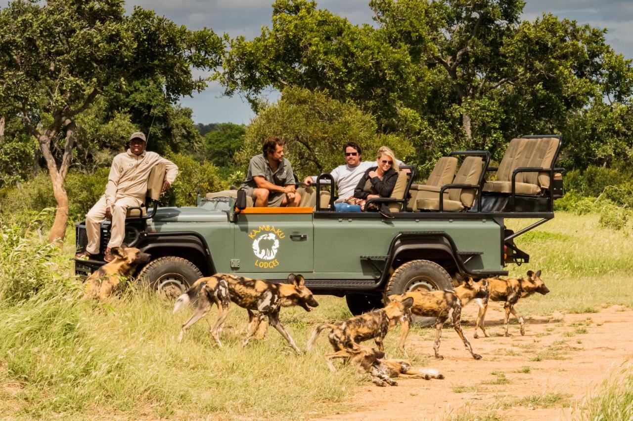 Kambaku Safari Lodge Timbavati Game Reserve Exterior foto