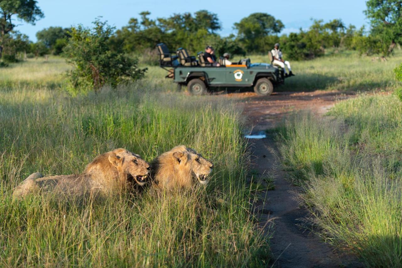 Kambaku Safari Lodge Timbavati Game Reserve Exterior foto