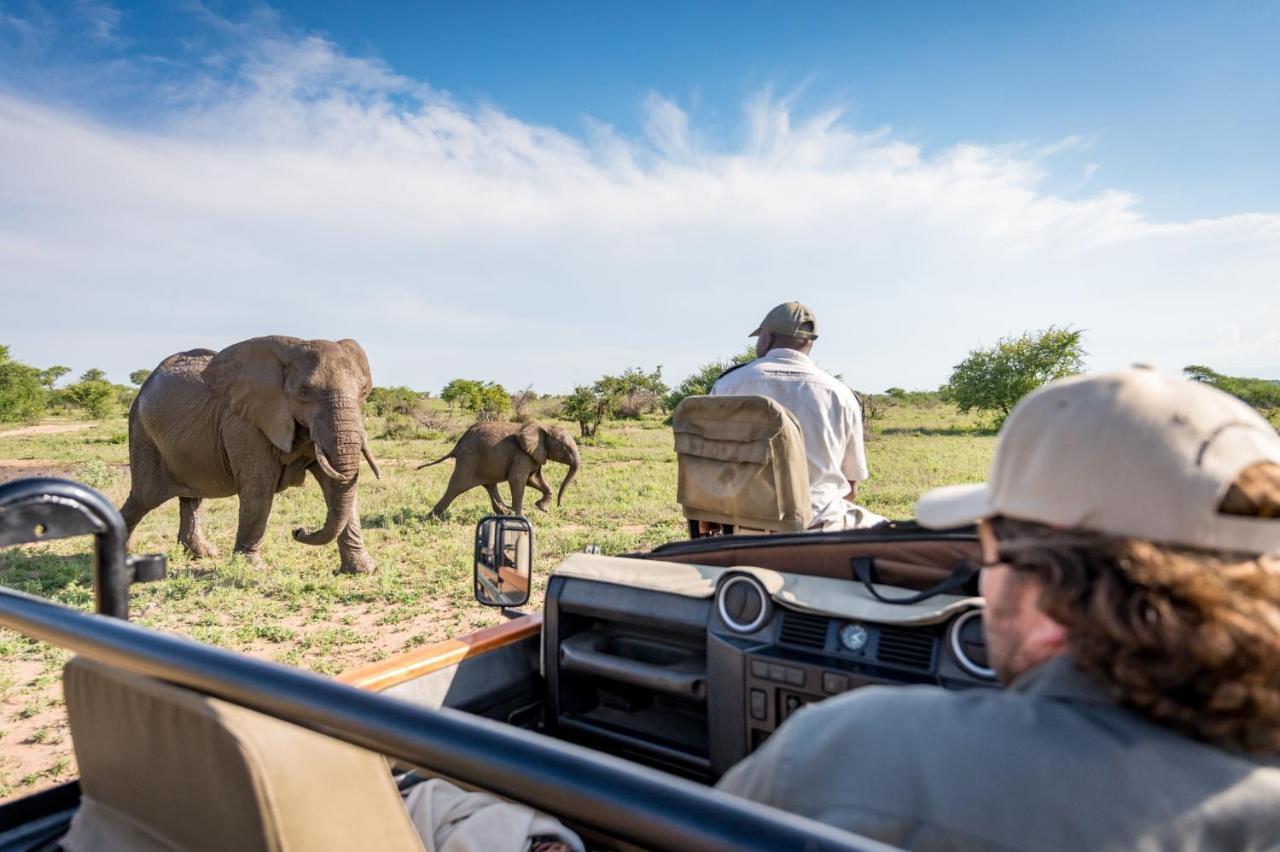 Kambaku Safari Lodge Timbavati Game Reserve Exterior foto