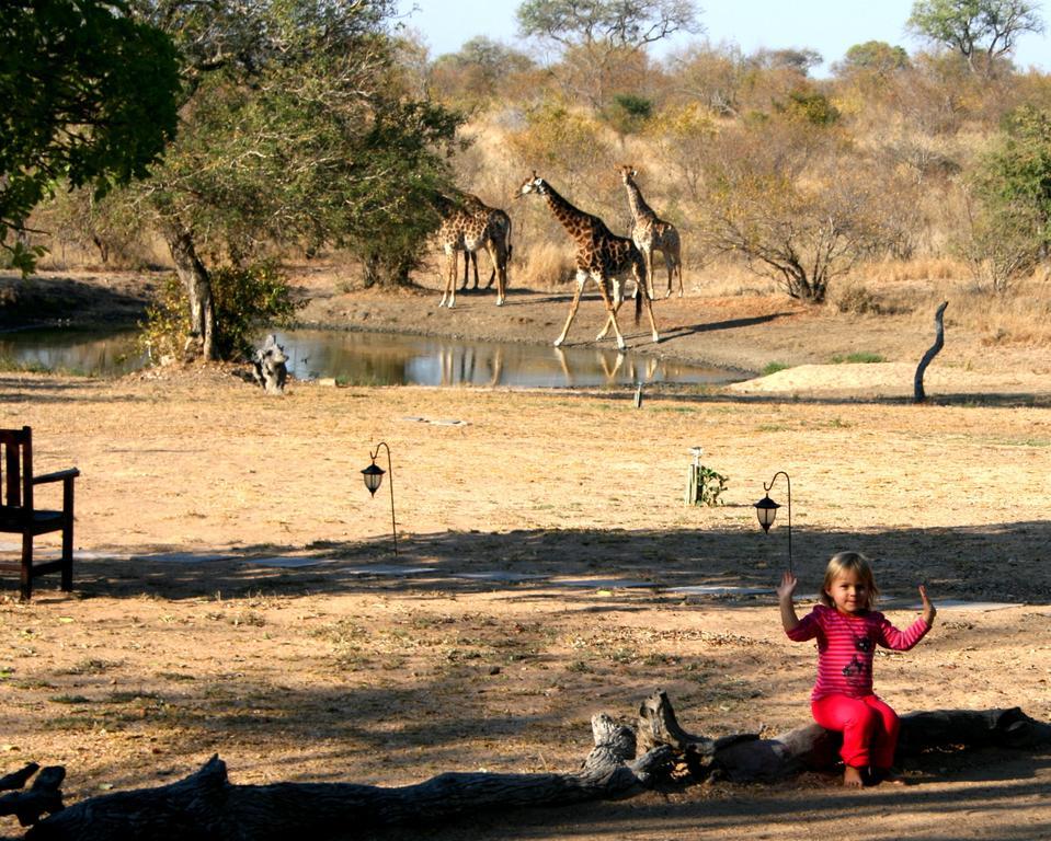 Kambaku Safari Lodge Timbavati Game Reserve Exterior foto