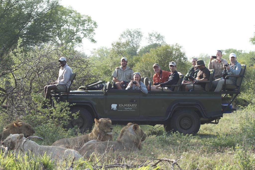 Kambaku Safari Lodge Timbavati Game Reserve Exterior foto